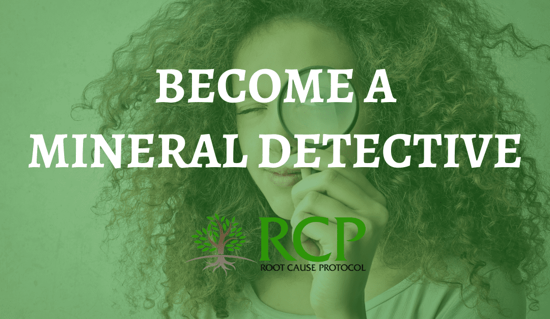 Do you want to become a Mineral Detective?