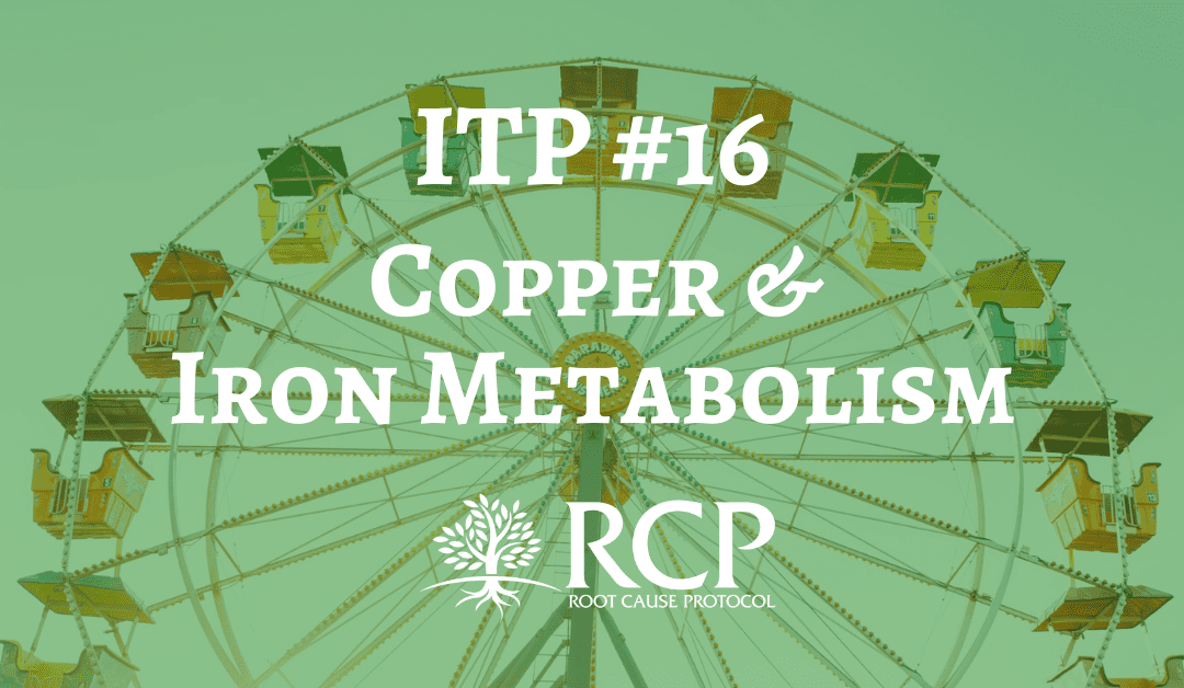 Iron Toxicity Post #16: A ‘primer’ on the TOTAL relationship of Copper and Iron Metabolism