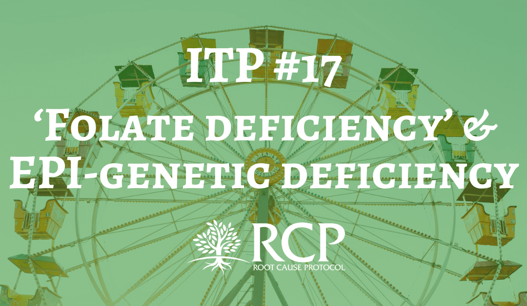 Iron Toxicity Post #17: Could ‘Folate deficiency’ be an EPI-genetic deficiency of bioavailable copper?