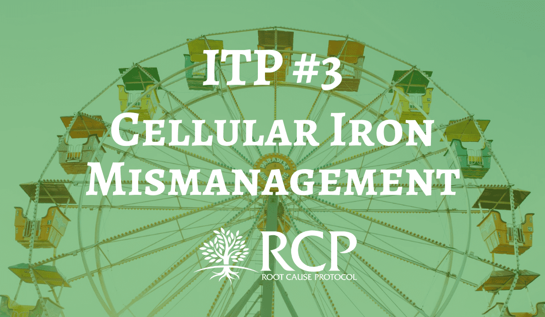 Iron Toxicity Post #3: The underlying pathogenic event in oxidative stress is cellular iron mismanagement