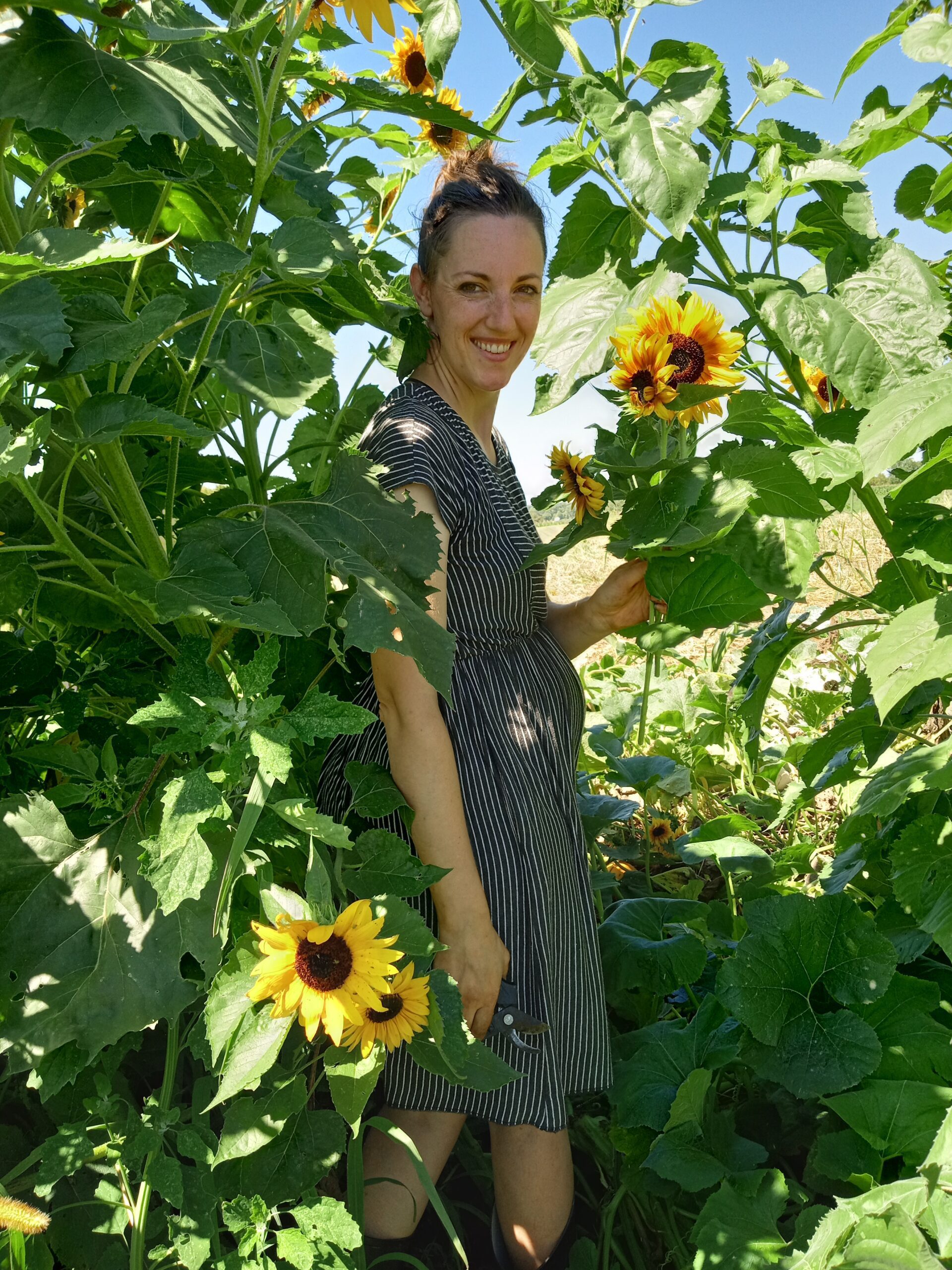 Emily Kelly - The Root Cause Protocol
