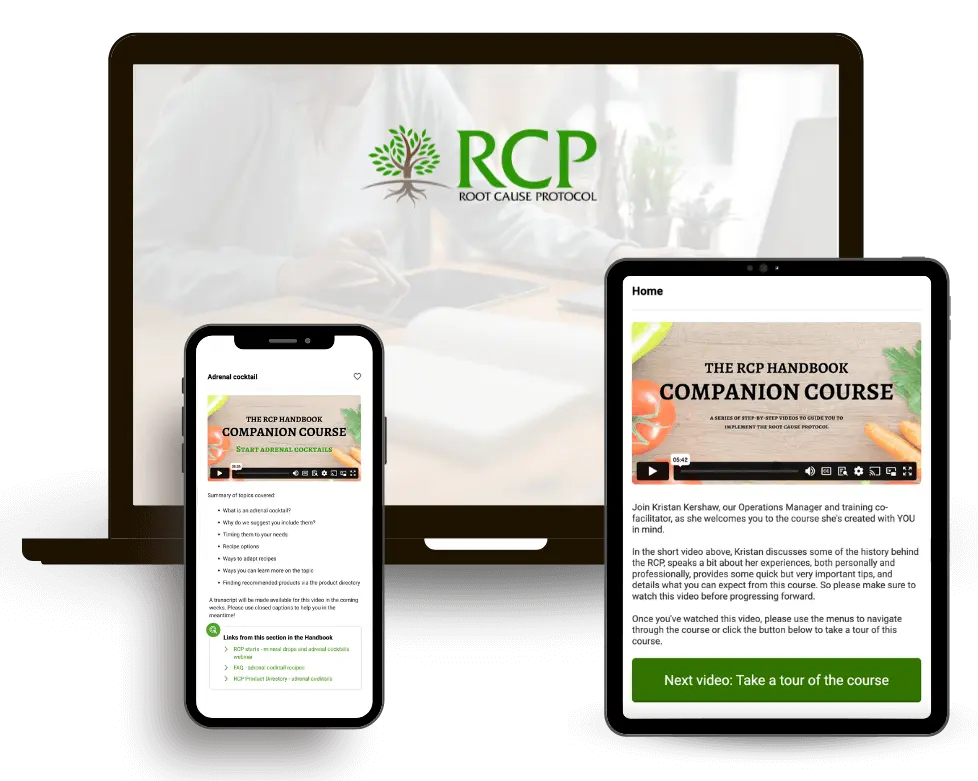 Handbook-Companion-Course-2025